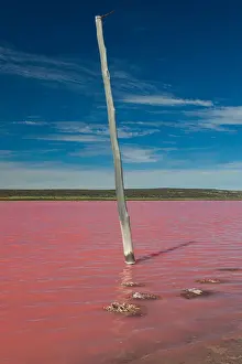 Pink Lake, Hutt Lagoon (Port Gregory - Western Australia)