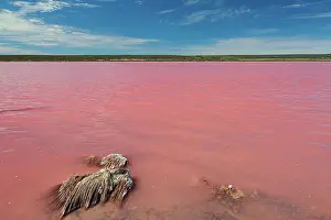 Pink Lake, Hutt Lagoon (Port Gregory - Western Australia)
