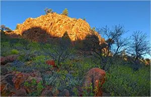 Images Dated 27th July 2011: Pinnacles dusk, northern Flinders Ranges, South Australia
