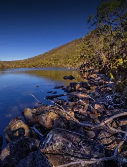 Images Dated 2022: Pirates bay reflections of tress at the shoreline, southern Tasmania