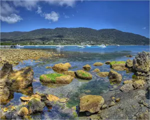 Images Dated 10th December 2012: Pirates bay, southern area near Tasman peninsular