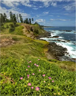 South Pacific Prints: Point Ross, A scenic coastal reserve on the Idyllic south pacific Norfolk Island