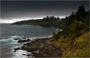 South Pacific Prints: Point Ross, A scenic coastal reserve on the Idyllic south pacific Norfolk Island