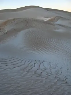 Point Sinclair Sand Dunes at sunset