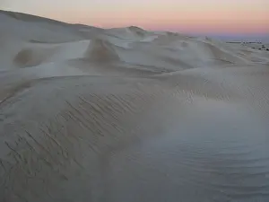 Prints of Point Sinclair Sand Dunes, South Australia - May 16, 2010: ripples on a sand dune create a soothing background at sunset South Australia (SA) Prints: Point Sinclair Sand Dunes at sunset