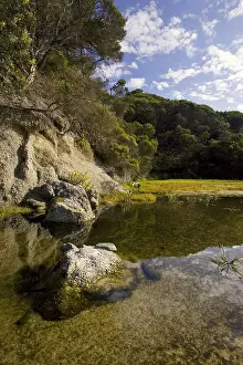 Coastal Prints: Pool on Squeaky Beach, Wilsons Promontory National Park, Victoria, Australia