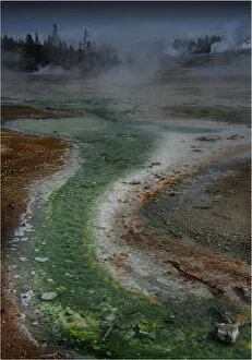Images Dated 14th September 2013: The Porcelain basin, Yellowstone National Park, Wyoming, USA