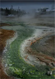 The Porcelain basin, Yellowstone National Park, Wyoming, USA
