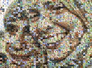 Family With One Child Prints: Portrait of two people made out of family imagery