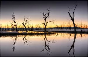 Images Dated 7th July 2012: Pre-dawn light on the Winton wetlands, Central Victoria, Australia