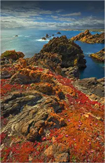 The pristine and wild Tarkine wilderness area and coastline, Tasmania, Australia