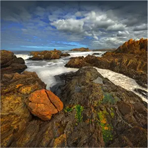 The pristine and wild Tarkine wilderness area and coastline, Tasmania, Australia