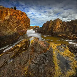 The pristine and wild Tarkine wilderness area and coastline, Tasmania, Australia