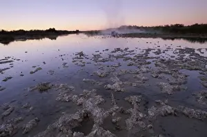 Purni Bore, Witjira National Park, South Australia