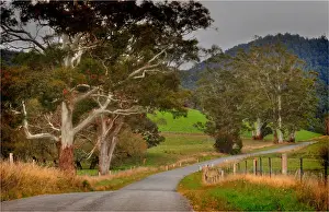 Pyangana road in the island state, Tasmania, Australia