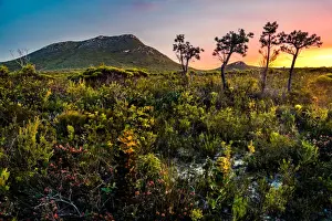 Quaalup (West Mount Barren) in Fitzgerald River National Park