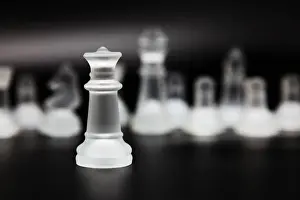The Queen of Chess