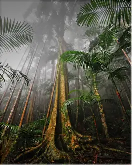 Queensland, Australia