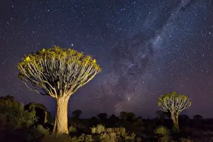 Daniel Osterkamp Prints: Quiver Trees with Milky Way at Giants Playground in Keetsmanshoop, Namibia, Africa
