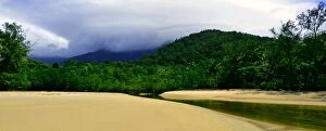 Images Dated 27th May 2014: Rainforest