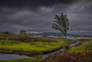 Images Dated 26th June 2015: Rannoch moor