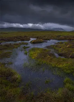 Reed Grass Family Prints: Rannoch Moor peatlands
