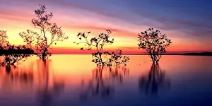Louise Denton Prints: Rapid Creek sunset