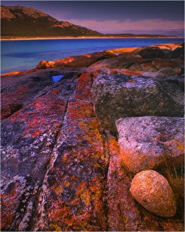 Images Dated 5th January 2013: Red coloured boulders, caused by lichen growing at the high tide mark on Flinders Island