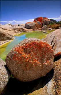 Lichen Prints: Red coloured boulders, caused by lichen growing at the high tide mark on Flinders Island