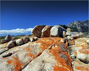 Boulder Rock Prints: Red coloured boulders, caused by lichen growing at the high tide mark on Flinders Island