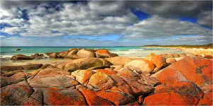 Red coloured rocks and boulders caused by living lichen, create a dramatic splash of colour at Disappointment bay King Red coloured rocks and boulders caused by living lichen, create a dramatic splash of colour at Disappointment bay King