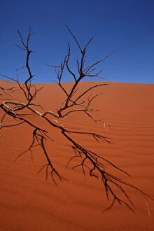 Images Dated 16th October 2014: Red desert