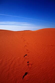 Images Dated 16th October 2014: Red sand dunes