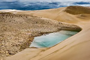 Reef Beach Dunes