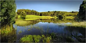 Reflections in a rural scen at Trowutta, Tasmania, Australia
