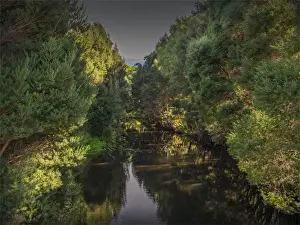Reflections on Sea Elephant river, northern King Island, Bass Straight, Tasmania