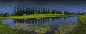 Colonialism Prints: Reflections in standing water on the Kingston common, Norfolk Island, south pacific ocean