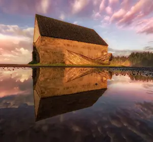 Reflections in a water puddle, Norfolk Island, Australia, Southern South Pacific
