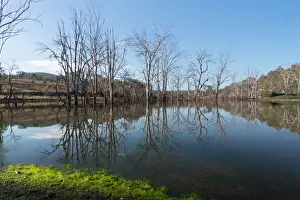 Reflections on the Wyaralong dam in rural Queensland