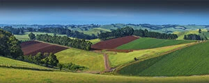 Images Dated 25th November 2015: Rich farmland near Mirboo north, Victoria, Australia