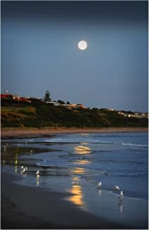 Images Dated 21st November 2010: Rising moon Victor Harbour Fleurieu Peninsula South Australia