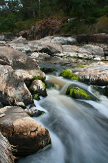 Walpole Prints: A river in West Australian south running over the smooth mossy rocks