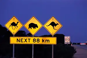 Danger Prints: Road Sign, Eucla, Western Australia