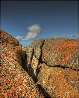 Images Dated 9th November 2012: Rock formations, on the coastline of King Island Bass Strait, Tasmania, Australia