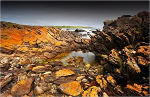 Images Dated 2010 September: Rock formations, on the coastline of King Island Bass Strait, Tasmania, Australia