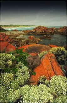 Images Dated 12th January 2011: Rock formations, Disappointment bay, King Island Bass Strait, Tasmania, Australia