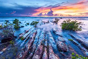 Rocks in a Row