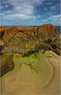 Rocky coastline British Admiral beach, King Island Bass Strait, Tasmania, Australia