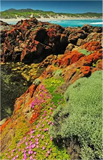Images Dated 4th December 2010: Rocky coastline British Admiral beach, King Island Bass Strait, Tasmania, Australia