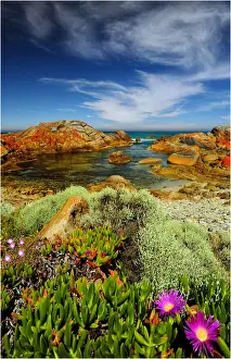 Rocky coastline British Admiral beach, King Island Bass Strait, Tasmania, Australia